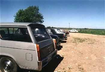 beautiful shapes in Frestedt, 2000